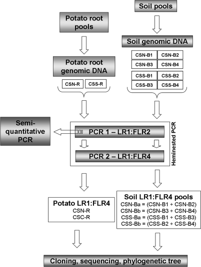 FIG. 1.