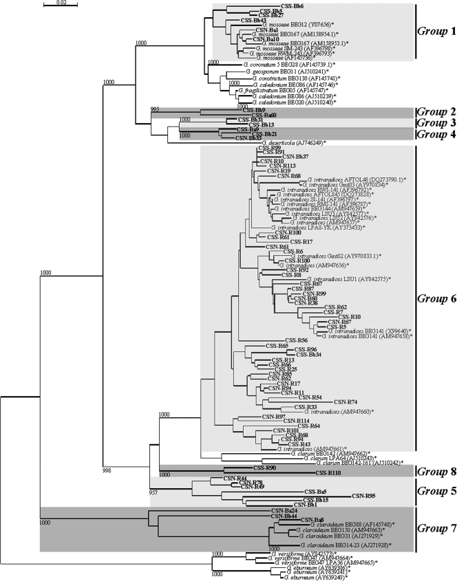 FIG. 2.