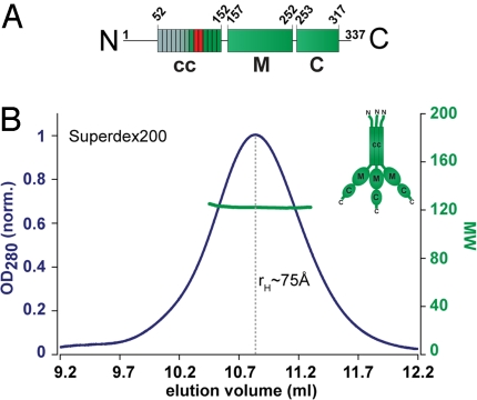 Fig. 3.