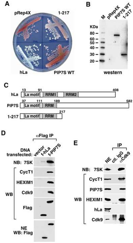 Figure 4.