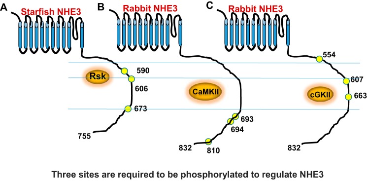 FIGURE 7.