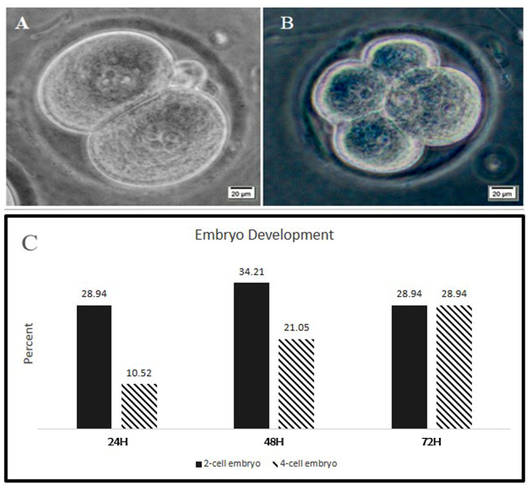 Fig.4