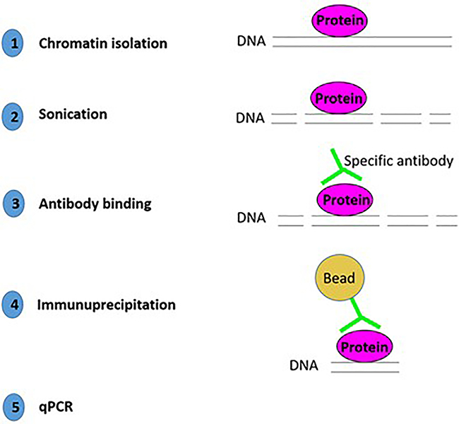 Figure 5: