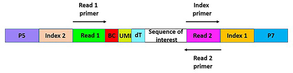 Figure 3: