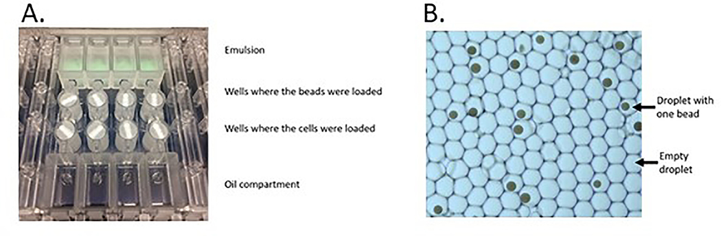 Figure 2: