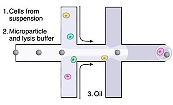 Figure 1: