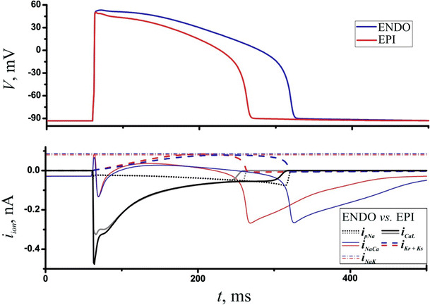 Fig. 5