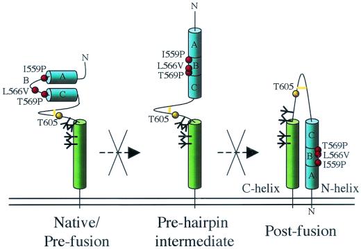 FIG. 7.