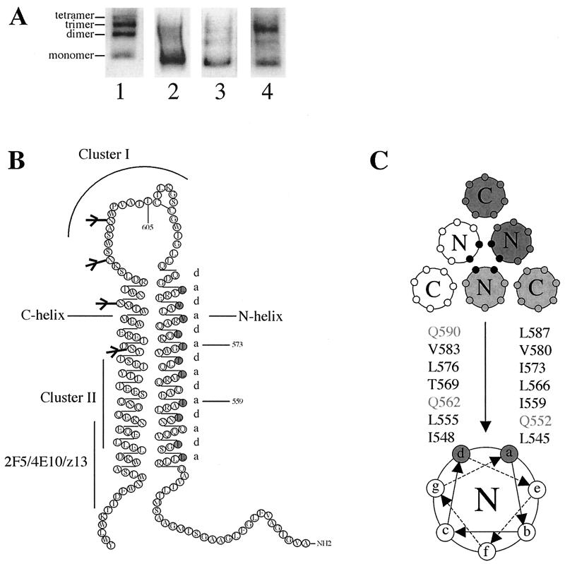 FIG. 1.