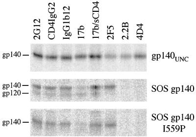 FIG. 5.