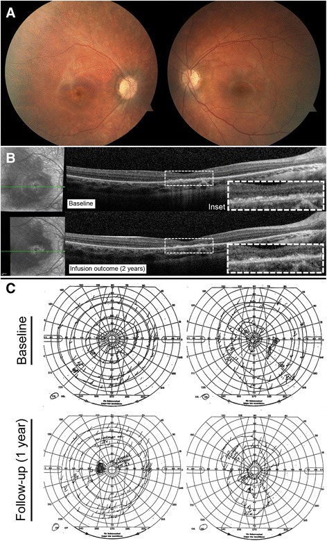 Fig. 6