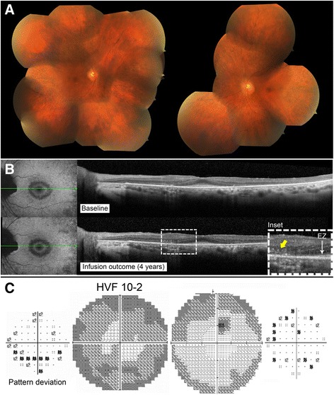 Fig. 7