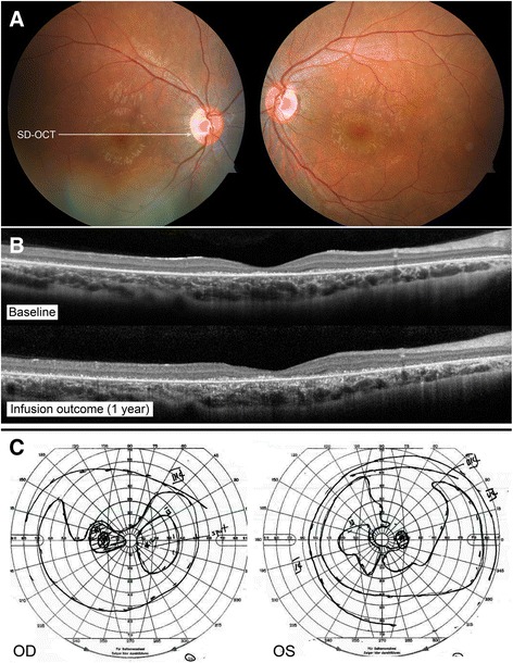 Fig. 5