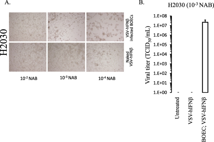 Supplemental Figure 1