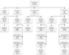 FIGURE 5. Project flowchart by EPSDT status, future appointment status, and WCC conversion status.