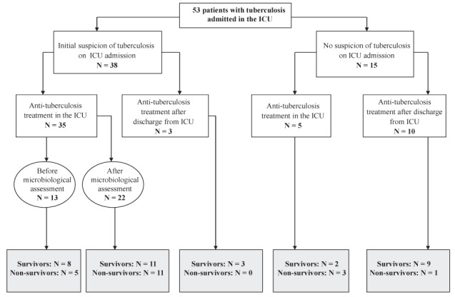 Figure 1)