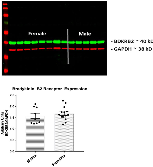 Figure 3: