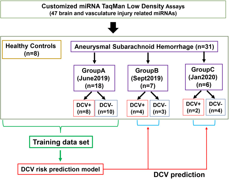 FIGURE 1