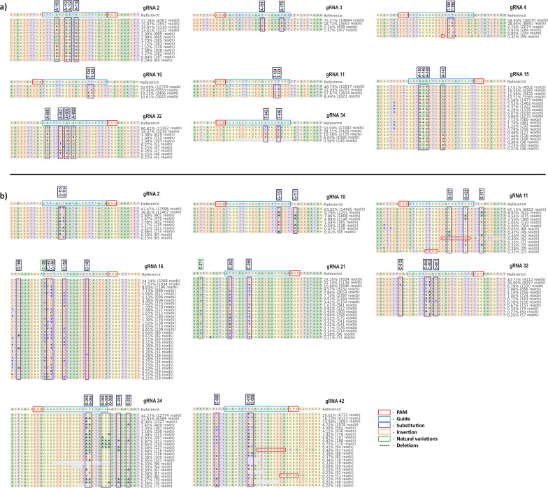 Figure 3—figure supplement 2.