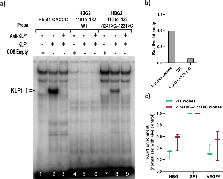 Figure 5—figure supplement 1.