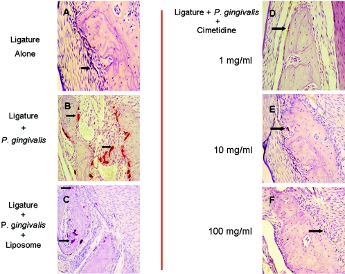 FIG. 7.