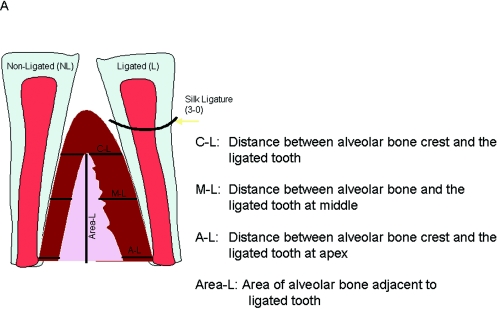 FIG. 6.