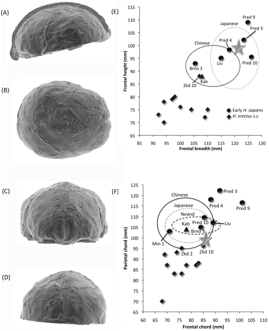 Figure 11