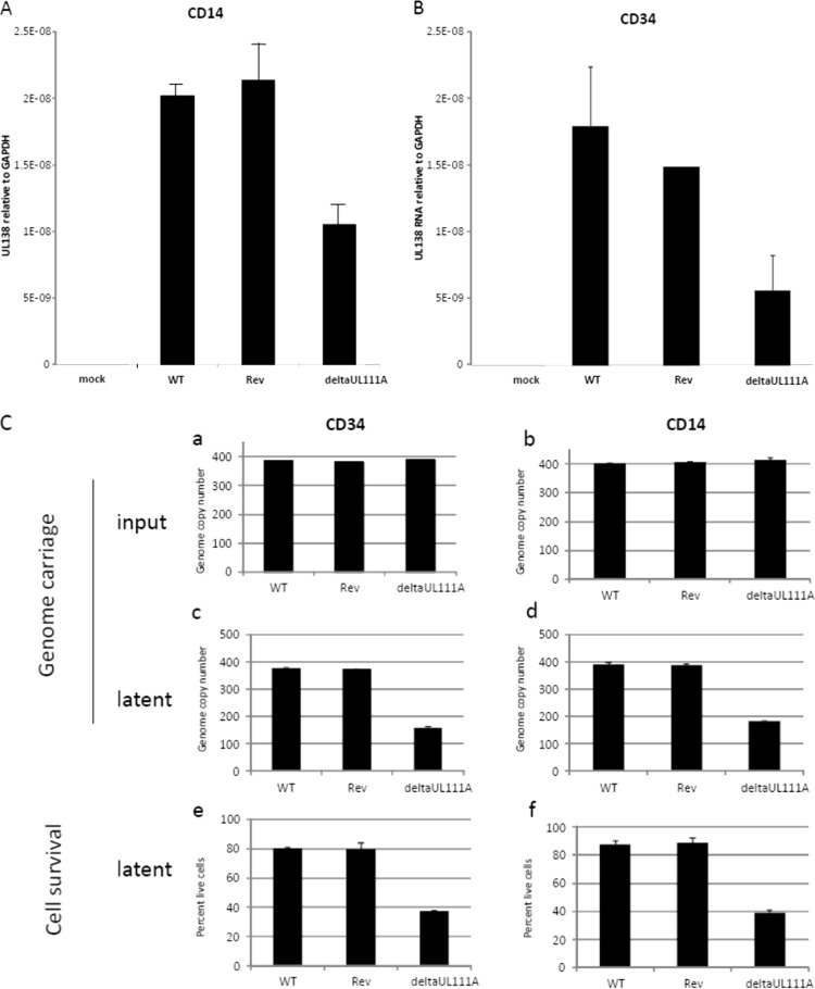 FIG 2