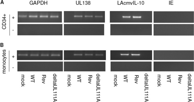 FIG 1