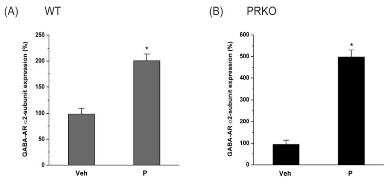 Fig.2