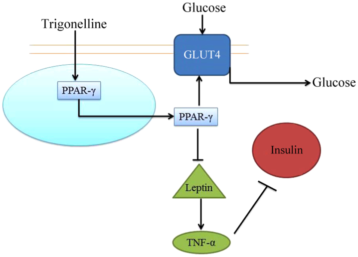 Figure 7.