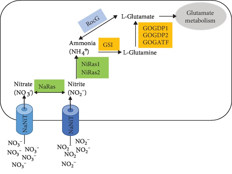 Figure 5