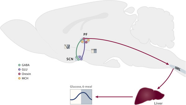 Figure 3