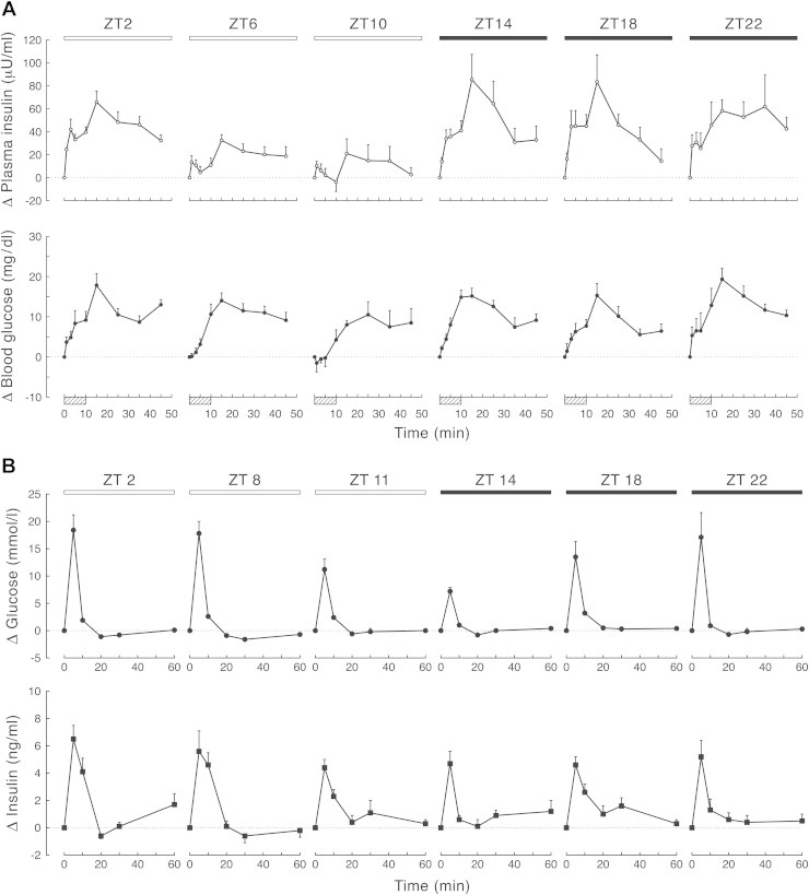 Figure 2