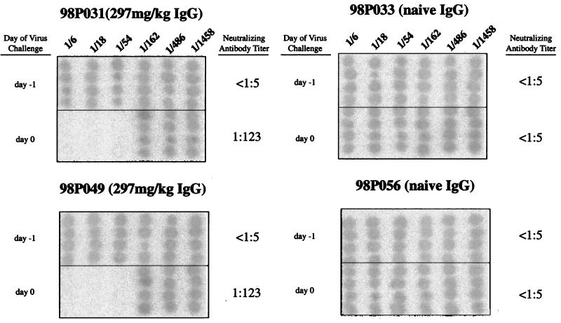 FIG. 2.