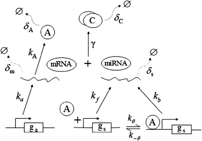 Fig. 2