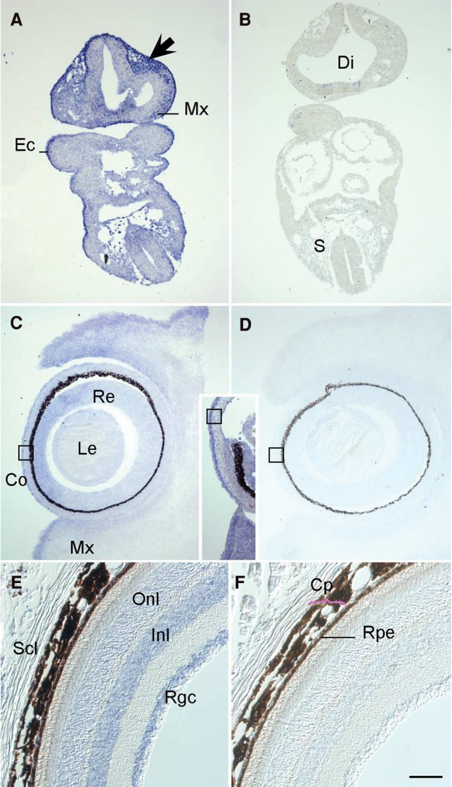 Figure 4.