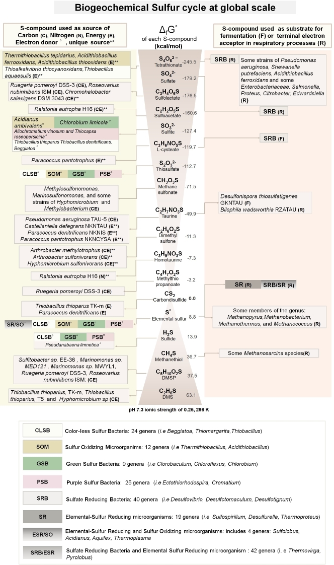 Figure 2: