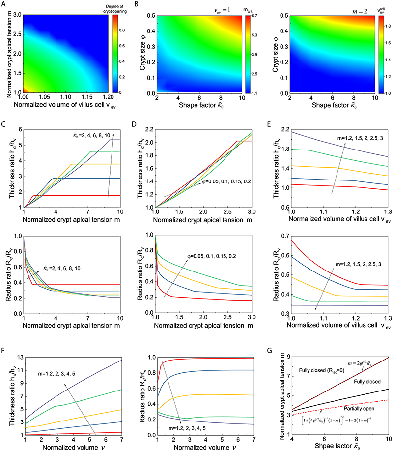 Extended Data Fig. 6