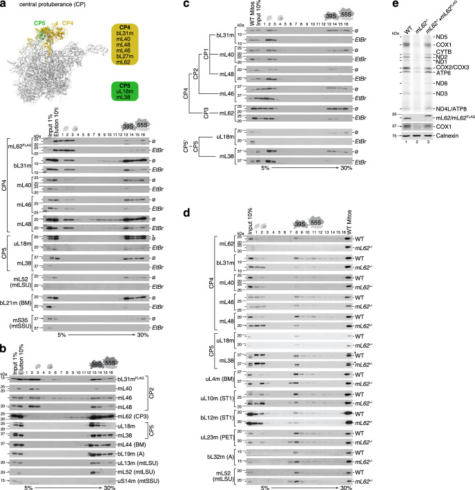 Extended Data Fig. 7