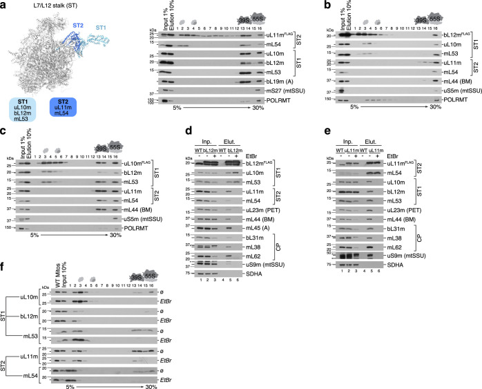 Extended Data Fig. 8