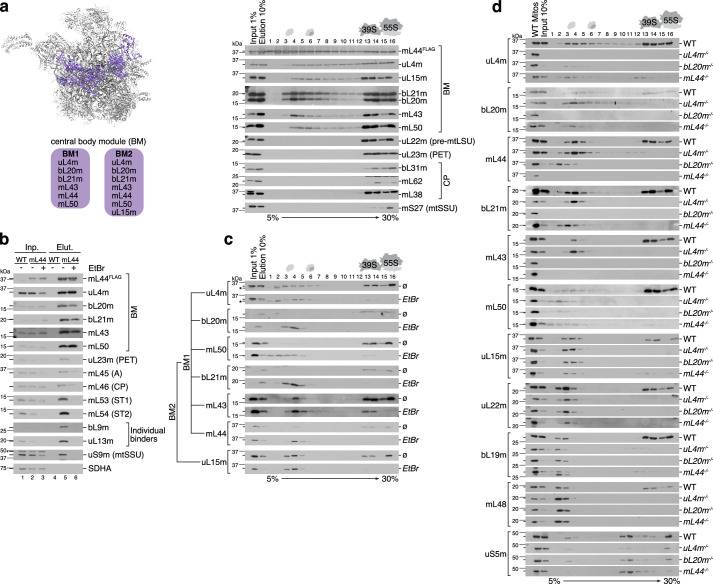 Extended Data Fig. 9