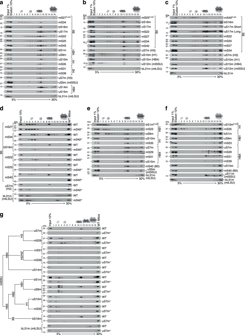 Extended Data Fig. 3