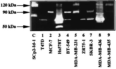 FIG. 10