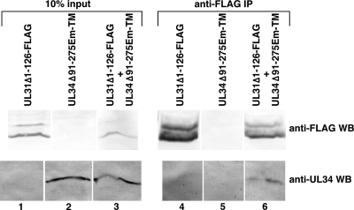 FIG. 11.