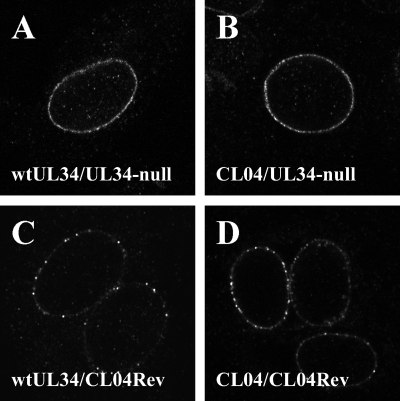 FIG. 8.