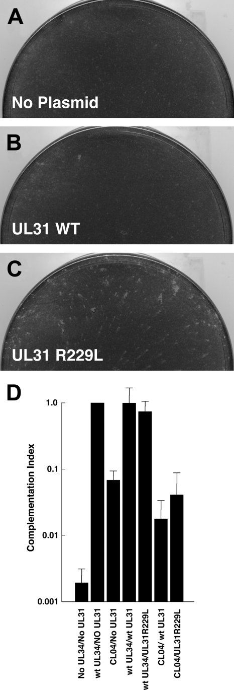 FIG. 6.