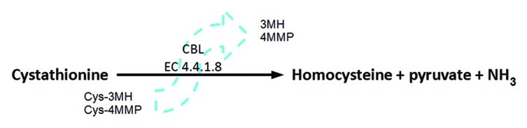 Figure 1. 