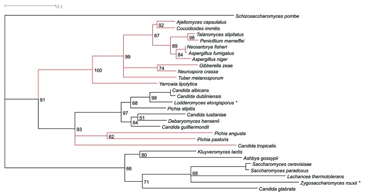 Figure 2. 