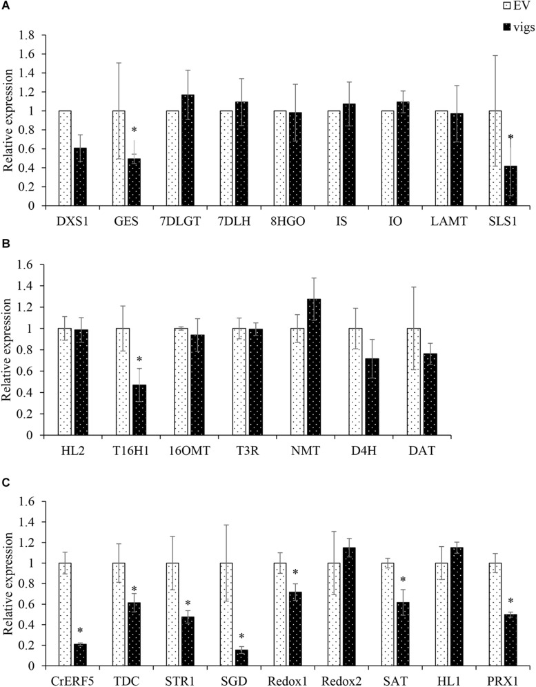 FIGURE 4